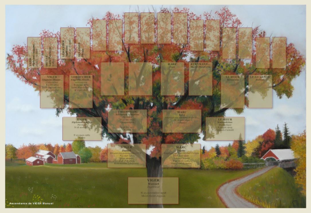 Arbre généalogique pour 7 générations